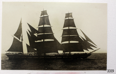 Photograph