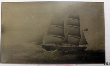 Photograph