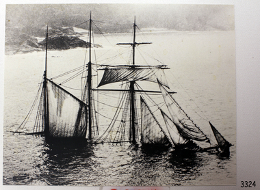 Photograph