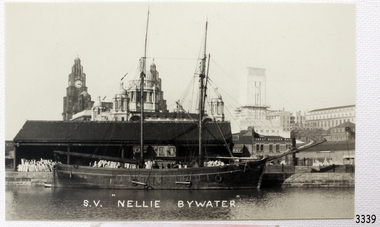 Postcard