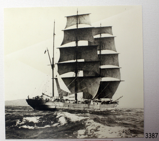 Photograph