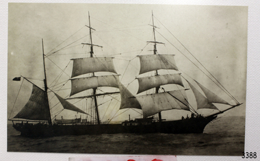 Photograph