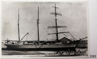 Photograph, before February 1911