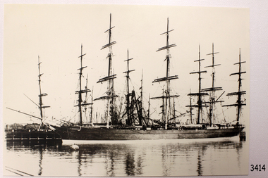 Photograph