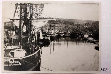 Photograph