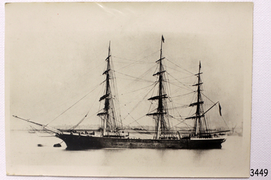 Photograph