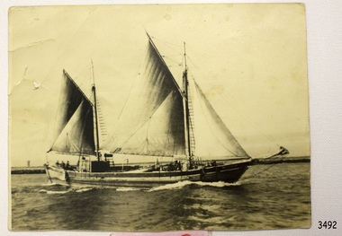 Photograph
