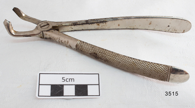Dental surgical instrument