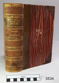 Book, Bailliere, Tindall, and Cox, Text Book of Naked-Eye Anatomy, 1886