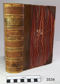 Book - Medical Textbook, Bailliere, Tindall, and Cox, Text Book of Naked-Eye Anatomy, 1886