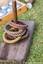 Colour photograph showing quoit base with six different woven quoits.