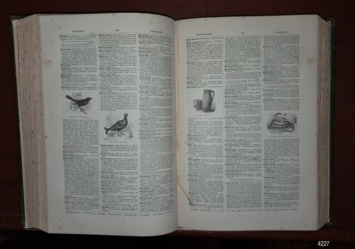 Two-page opening with text and illustrations