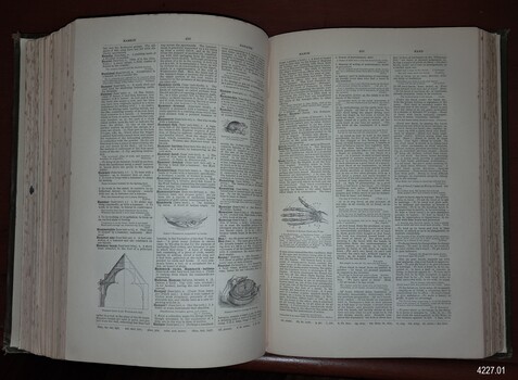 Two page opening with text and illustrations