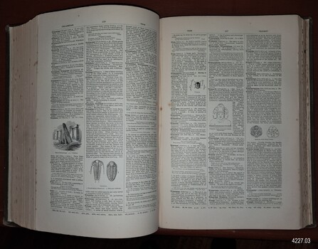 Two-page opening with text and illustrations