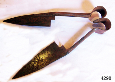 Shears