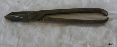 Snips