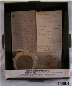 Wood Samples, 1891