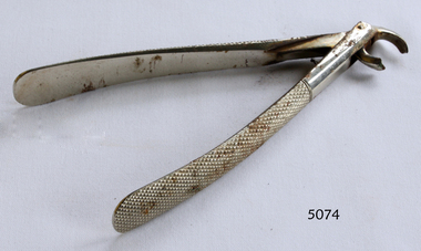 Dental Surgical Instrument, C Ash & Sons