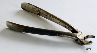 Dental Surgical Instrument