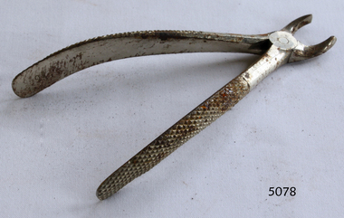 Dental Surgical Instrument, Smith & Sheppard