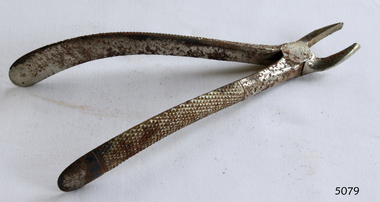 Dental Surgical Instrument