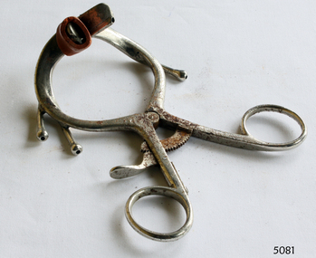 Dental Surgical Instrument