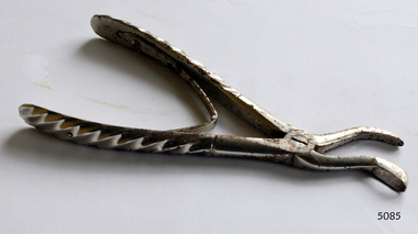 Surgical Instrument, Mayer & Meltzer Co
