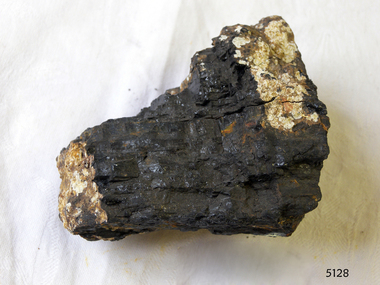 Coal