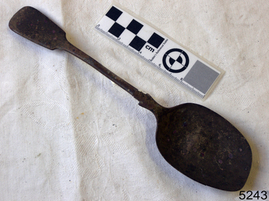 Spoon