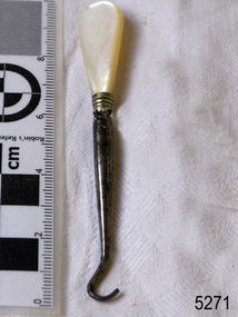 Button Hook