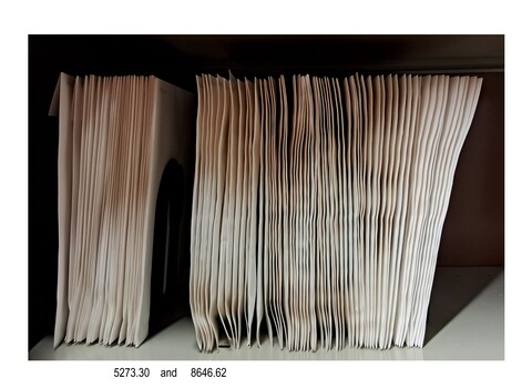 Sets of upright records in white sleeves, on a shelf together