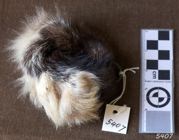 Fur