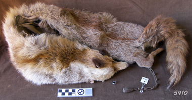 Fur