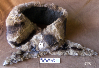 Fur