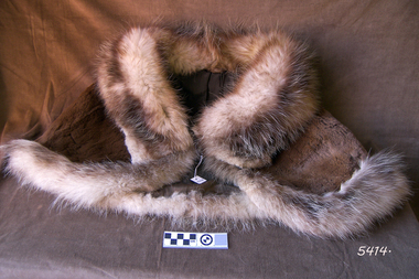 Fur