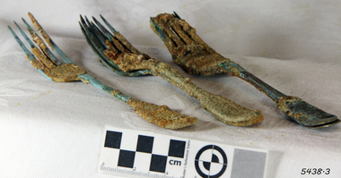 Forks