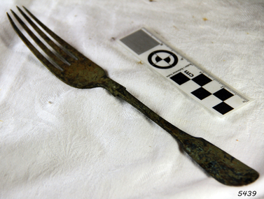 Fork