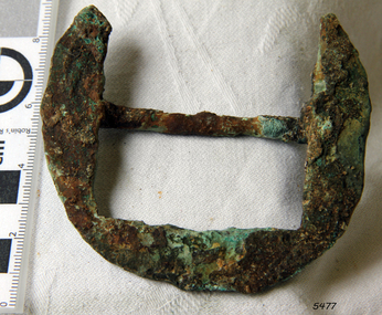 Harness Buckle