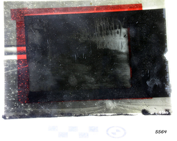Glass Negative