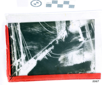 Glass Negative
