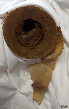 Portion of paper is tearing away from the roll. Inside of roll has a large amount of sedimentation