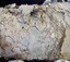Paper is melded together in places and flaking off like scales in other areas. The edge is uneven.