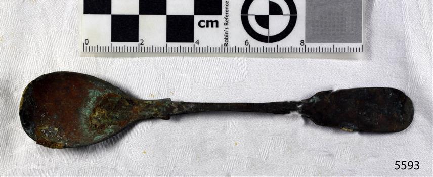 Spoon in golden colour covered with black and green marks and sea crustaceans