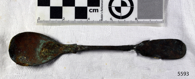 Spoon in golden colour covered with black and green marks and sea crustaceans