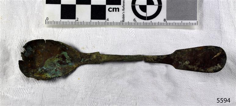 Spoon in golden colour covered with black and green marks and sea crustaceans