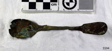 Spoon in golden colour covered with black and green marks and sea crustaceans