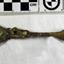 Spoon in golden colour covered with black and green marks and sea crustaceans