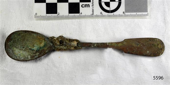 Spoon in golden colour covered with black and green marks and sea crustaceans