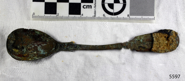 Spoon in golden colour covered with black and green marks and sea crustaceans