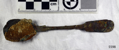 Spoon in golden colour covered with black and green marks and sea crustaceans